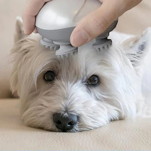 Massageador Elétrico Pet