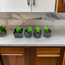 Kit 4 Vasinhos Decoração com Plantinhas