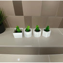 Kit 4 Vasinhos Decoração com Plantinhas