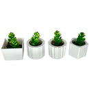 Kit 4 Vasinhos Decoração com Plantinhas