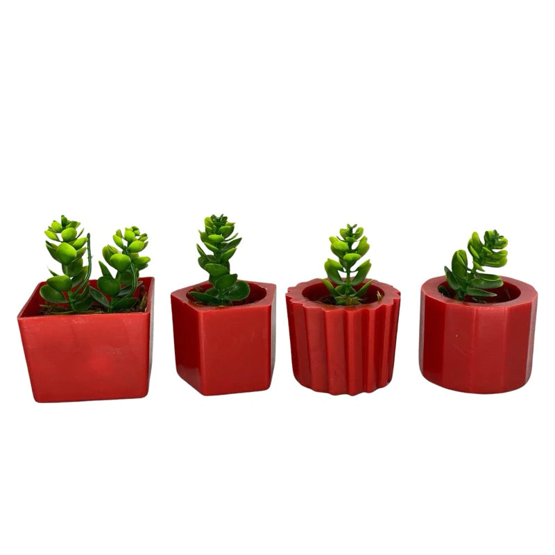 Kit 4 Vasinhos Decoração com Plantinhas