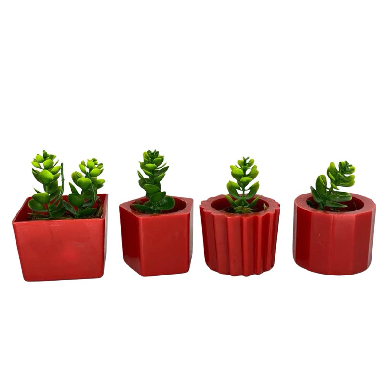 Kit 4 Vasinhos Decoração com Plantinhas