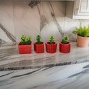 Kit 4 Vasinhos Decoração com Plantinhas