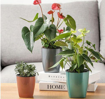 Vaso Hidropônico - Easy Growing Plants